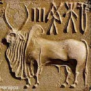 Agriculture: Crops and Animals - Indus river valley Civilization